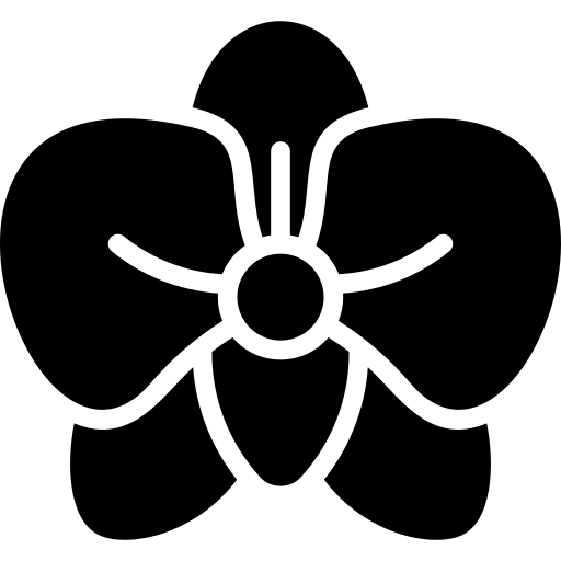 Orkide